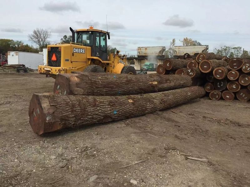 China Dongguan Yinghui Wood Industry Co., Ltd. Bedrijfsprofiel