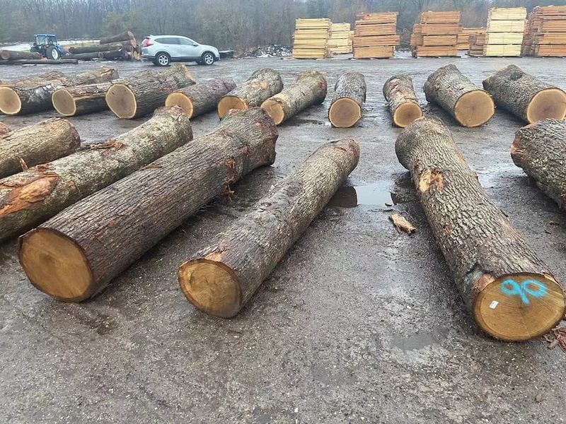 China Dongguan Yinghui Wood Industry Co., Ltd. Bedrijfsprofiel
